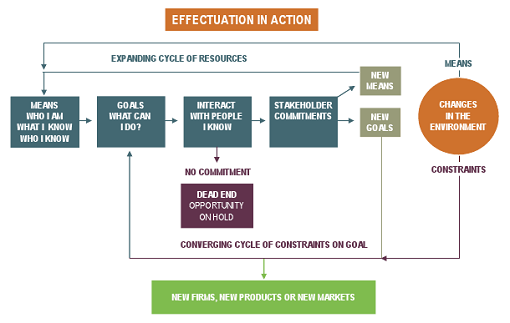 effectual-cycle-old